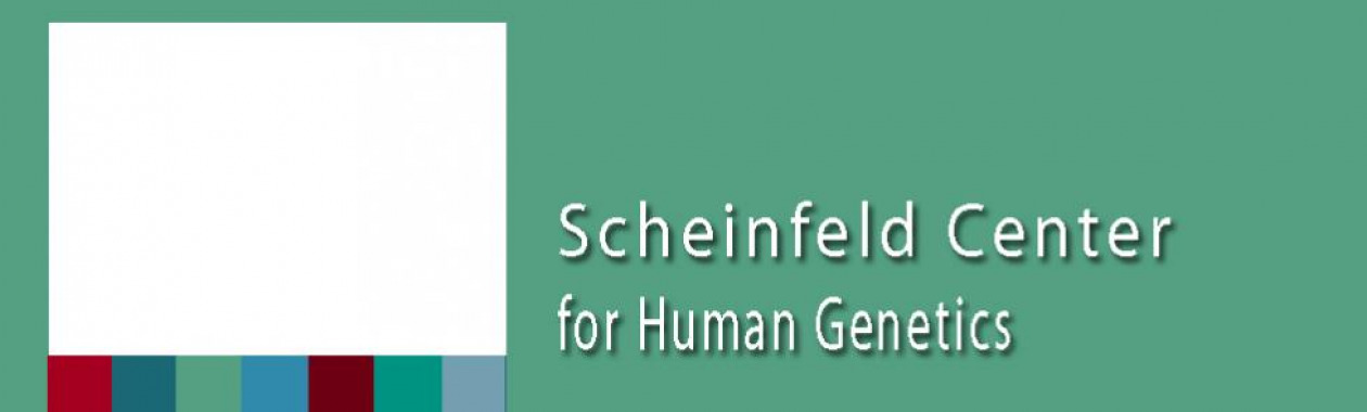 Scheinfeld